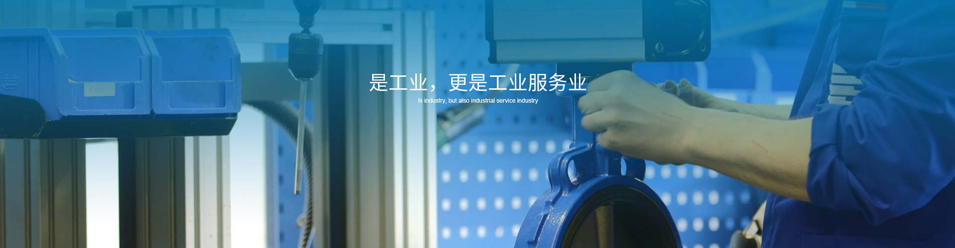 蝶閥